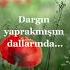 Sura İskenderli