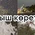 Әлем дыбыстары табиғат қала дауысы Звуки мира небо Voice Of City Nature Relax No Music