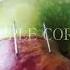 My Name Core Trend Therian Alterhuman Antizoo Fyp Applecore