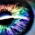 Archive Again Maceo Plex Remix