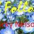 I Will Follow You Ricky Nelson