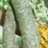 Nandri Sollave Unakku நன ற ச ல லவ உனக க Udan Pirappu Movie Songs