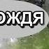 Вальс дождя W Of Rain