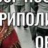 СССР после войны Политика и общество