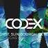 Heerhorst Slin Bourgh PETER PAHN To The Floor Original Mix CODEX