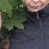 Годы как вас задержать