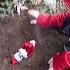 Bad Elf On The Shelf Gets Buried Alive