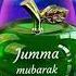 JUMA MUBORAK BÒLSIN HAMMAGA