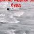 кудакеро ов бурд