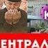 В Узбекистане арестован блогер Возрождения Ислама в Кыргызстане В Таджикистане закрыты мечети