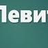 Аудио Библия 0103 Левит Глава 13 LET S QT