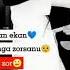 Sog Indim