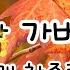 차중락의 낙엽따라 가버린 사랑 1966 가사 포함