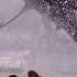 Megalodon เมกะโลดอน