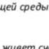Каидзен планирование как основа счастливой жизни