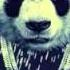 Lefa Panda Remix