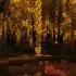 It S Okay To Cry Stay Here And Listen To Peaceful Minecraft Music C418 Soft Rain