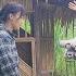 Single Woman Was Humiliated And Beaten By Her Mother In Law And Her Husband S Lover