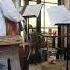 The STARK Jazz Duo Live The Little Goose Christmas Happy Hour Party