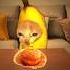HBD Catmemes Cat Funny Happycat Fyp
