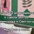 Новогодний подарок мечты почему все хотят путешествовать калининград отдых