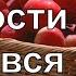 Милости Твоей полна вся земля PraiseTheLord Ru