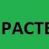 Типы растительных тканей