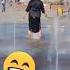 Yomg Irda Yayrashib Maysalar