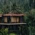 Rainforest Rain Sounds For Sleeping Or Studyng White Noise Rainstorm 24 Hours