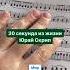 юмор скрипка Violincover краснодар