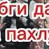 Popuri Kabgi Dari кабги дари биё ба пахлуям хобадбибард сари зонуям Лео равшан хайридин Шон Cover