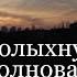 Всколыхнулся взволновался православный тихий Дон СОКОЛИКИ