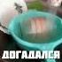 У НЕГО ПОЧТИ ПОЛУЧИЛОСЬ