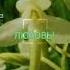 ВЕРА НАДЕЖДА ЛЮБОВЬ С ИМЕНИНАМИ