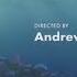 Finding Nemo Credits Telemundo Version 9 16 18