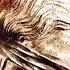 Rotting Christ Out Of Spirits