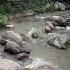 So Qoq Parkent Tumani Toshkent Soqoq Parkent Toshkent Sayohat Travel Time Uzbekistan Walk