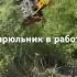 Стрижка только начата
