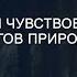 Особенности чувствования на канале богов природы Часть 1