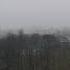 Strange Fog Shrouded The City Shorts Fog