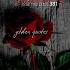 Deep And Heart Touching Lines Golden Quotes Viral Islamicstatus Shortvideo