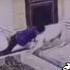 When You Learn Fighting From Khabib Man Vs Dog Ufc Khabibnurmagomedovufc Motivation Mma Khabib