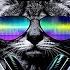 ONLY REMIX 90S POP DANCE MEGA MIX BY DJ CARYSMA LIVE
