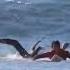 Amazing Videos Friendship Pascal Lotou Shortsviral Amazing