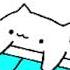 Bongo Cat Megalovania Dumb Warning