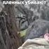 Дайте сигарету на прощание пленный солдат ВСУ готовился умирать