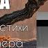 Светлана Копылова Гордячка Стихи Вадим Шефнер