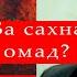 Биография Манижа Давлатова