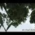 Dash Berlin Feat Emma Hewitt Disarm Yourself Radio Edit 1 Shorts Trance Vocals 2011 Dj