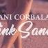 Dani Corbalan Pink Sands Official Music Video